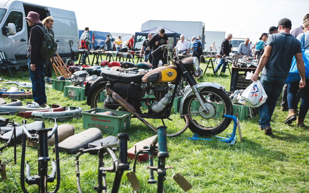 5 REASONS TO VISIT THE EUROJUMBLE SPONSORED BY CAROLE NASH THIS FRIDAY & SATURDAY