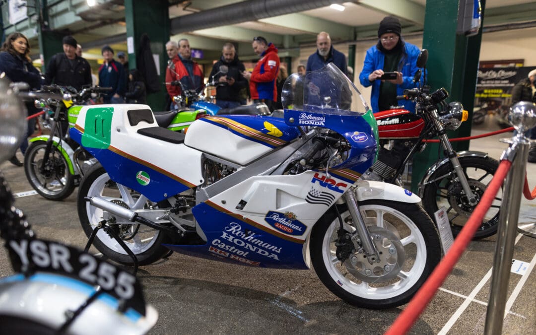 Top 10 reasons to attend Stafford this weekend